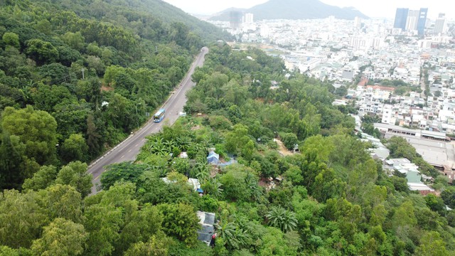 Bình Định đề nghị chuyển một số tuyến quốc lộ thành đường địa phương - Ảnh 1.