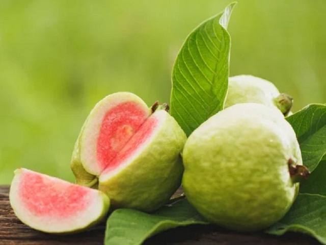Lợi ích dinh dưỡng ít người biết của ổi - Ảnh 1. Lợi ích dinh dưỡng ít người biết của ổi - Ảnh 1.