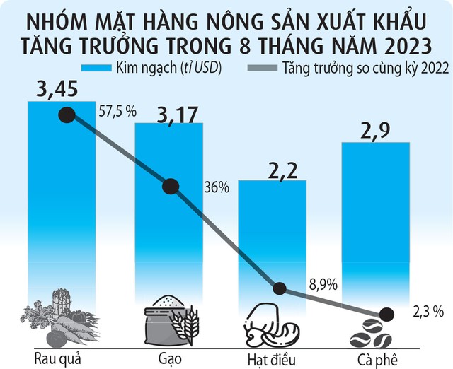 Gạo, cà phê, điều... đua nhau lập kỷ lục - Ảnh 3. Gạo, cà phê, điều... đua nhau lập kỷ lục - Ảnh 3.
