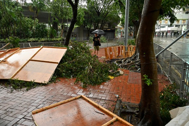 Bão Sao La khiến cây ngã hàng loạt tại Hồng Kông, 1 người chết tại Trung Quốc - Ảnh 4.