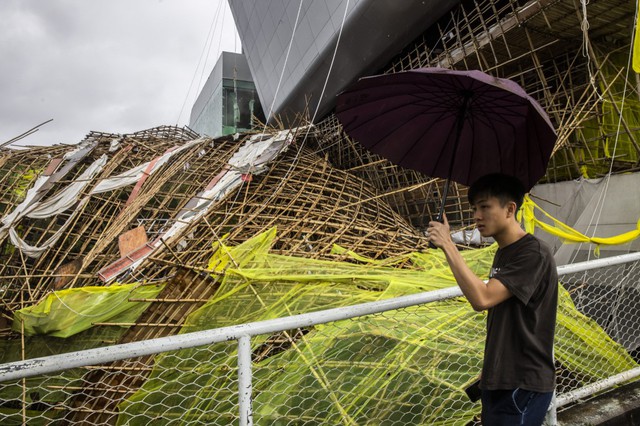 Bão Sao La khiến cây ngã hàng loạt tại Hồng Kông, 1 người chết tại Trung Quốc - Ảnh 10.