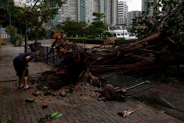 Bão Sao La khiến cây ngã hàng loạt tại Hồng Kông, 1 người chết tại Trung Quốc - Ảnh 8.