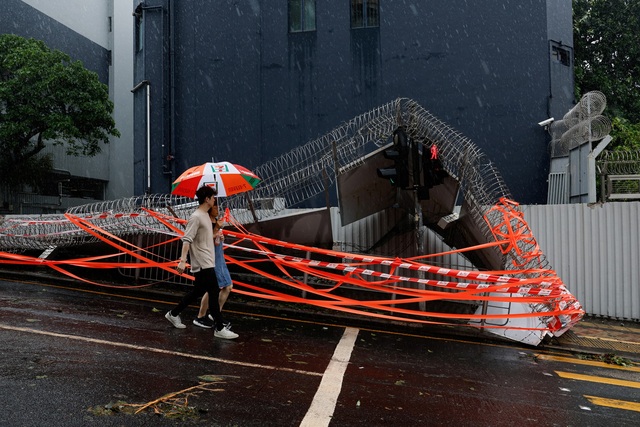 Bão Sao La khiến cây ngã hàng loạt tại Hồng Kông, 1 người chết tại Trung Quốc - Ảnh 6.