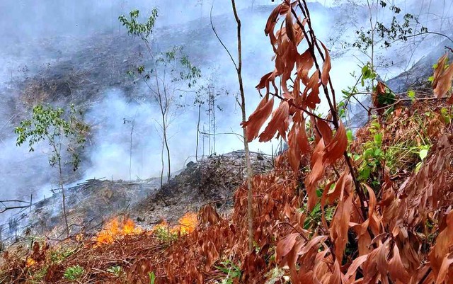 Quảng Nam: Một người tử vong khi dập đám cháy rừng - Ảnh 1.