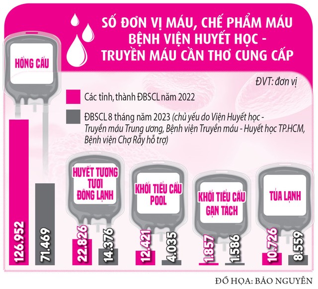 Y tế ĐBSCL gặp thách thức vì thiếu máu - Ảnh 4.