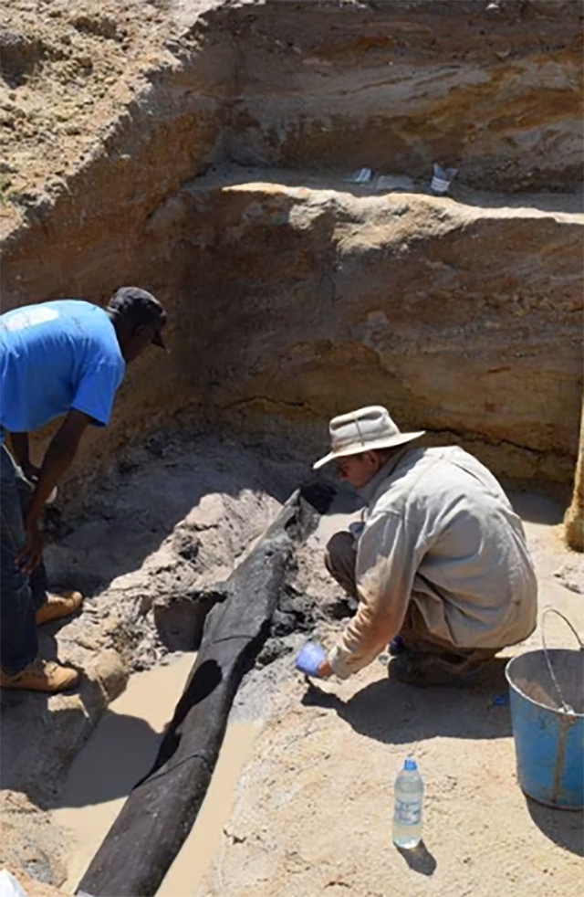 Các nhà khảo cổ phát hiện 2 thanh gỗ ở Zambia cách nay gần nửa triệu năm - Ảnh 2.