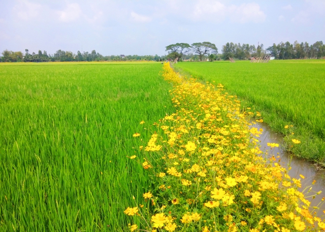 Đời thong thả - Truyện ngắn của Nguyễn Thị Như Hiền (TP.HCM) - Ảnh 1.