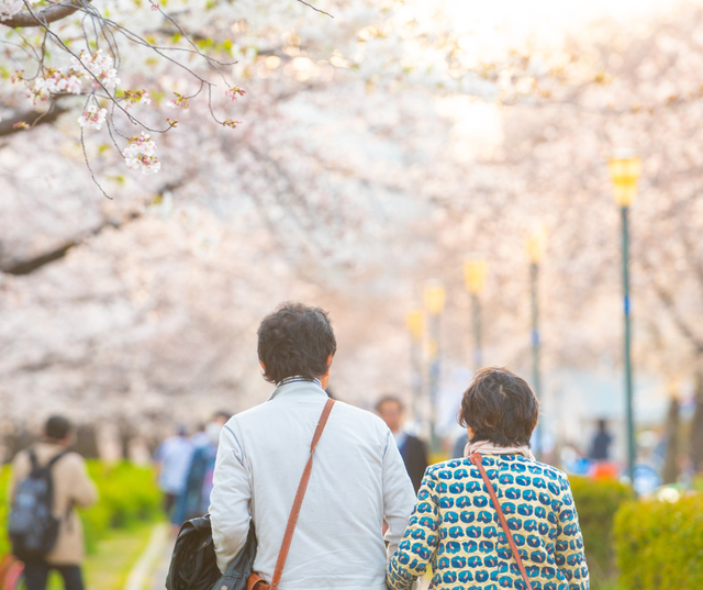 Khám phá vẻ đẹp rực rỡ của lễ hội hoa anh đào tại Tokyo và Kyoto - Ảnh 4.