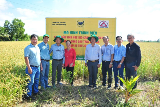 Trồng lúa thông minh, lợi nhuận tăng thêm gần 3,9 triệu đồng/ha - Ảnh 3.