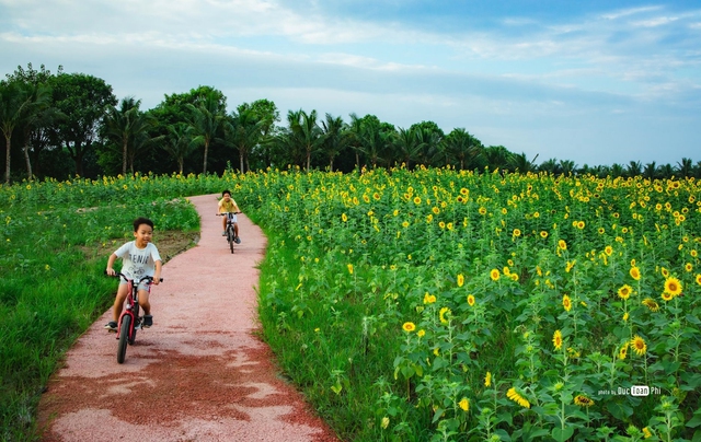 Trẻ nhỏ năng động, vui vẻ khi sống giữa thiên nhiên Trẻ nhỏ năng động, vui vẻ khi sống giữa thiên nhiên
