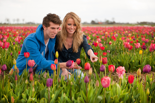 Mùa hoa tulip ở Hà Lan - điểm dừng chân lãng mạn không thể bỏ lỡ - Ảnh 4.