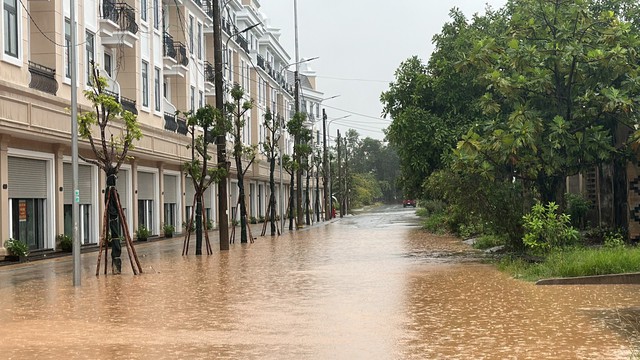 Quảng Trị: Mưa lớn, nhiều tuyến đường tại TP.Đông Hà bị cản trở do ngập úng - Ảnh 4.
