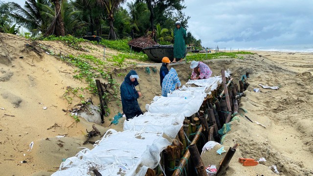 Người dân Quảng Nam đội mưa lớn 'vá' bờ biển Hội An trước nguy cơ sạt lở - Ảnh 8.