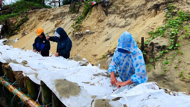 Người dân Quảng Nam đội mưa lớn 'vá' bờ biển Hội An trước nguy cơ sạt lở - Ảnh 6.