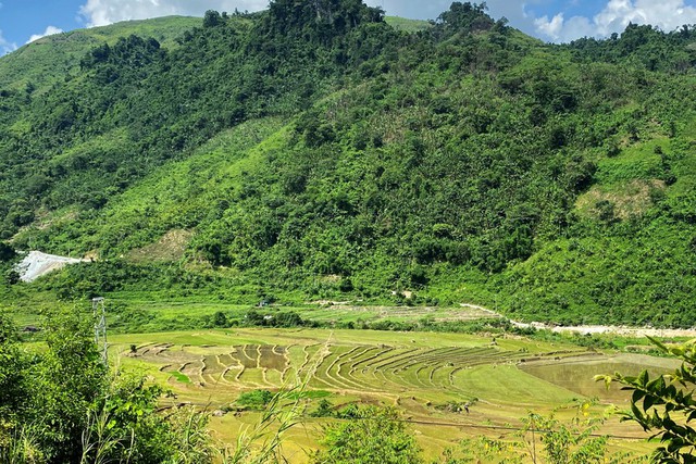 Reuters: Việt Nam sẽ khởi động lại mỏ đất hiếm vào năm tới - Ảnh 1.