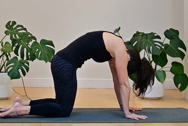Những động tác yoga giúp nàng văn phòng đánh tan nỗi lo béo bụng và đau lưng - Ảnh 3.