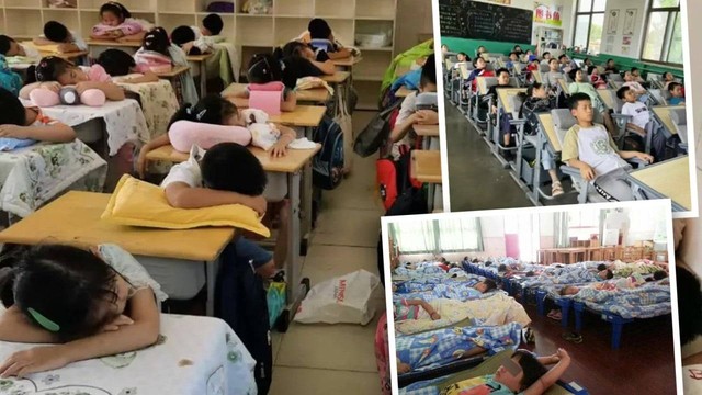 Trường tiểu học Trung Quốc bị phản ứng vì thu tiền ngủ trưa theo giá - Ảnh 1.