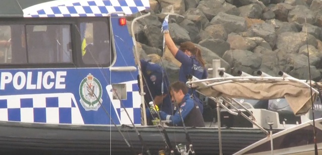 Cá voi tấn công thuyền ngoài khơi Úc, gây ra vụ tai nạn ‘bi thảm’ - Ảnh 1.