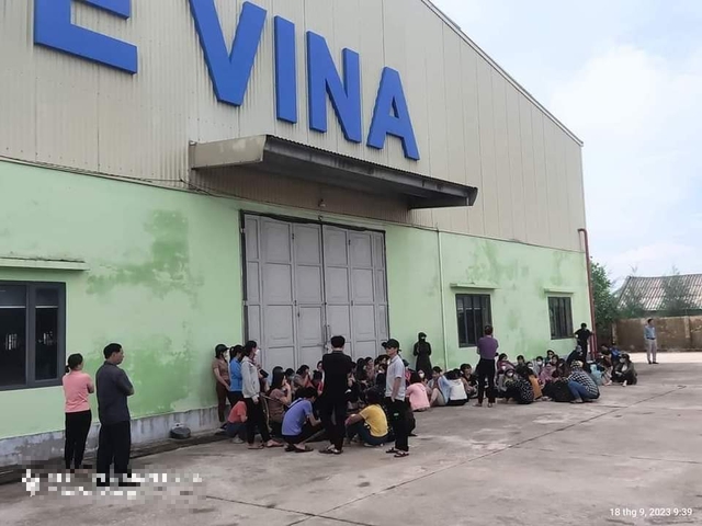 Công ty TNHH Hue Vina nợ lương, bảo hiểm: đã giải quyết việc làm cho phầnlớncôngnhân - Ảnh 1.