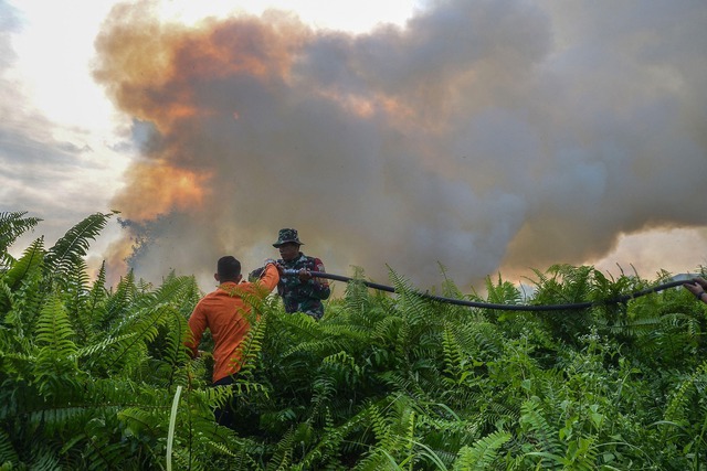Hàng trăm đám cháy rừng ở Indonesia gây khói mù tận Malaysia? - Ảnh 1.