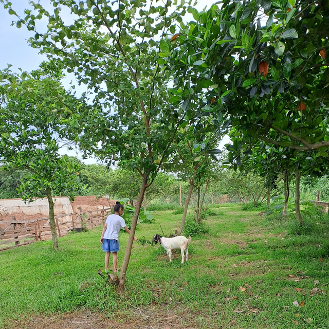 Những th&oacute;i quen xưa của cha t&ocirc;i - Ảnh 3.