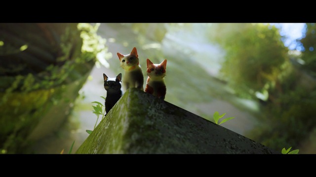 Game mèo Stray được chuyển thể thành phim hoạt hình - Ảnh 1. Game mèo Stray được chuyển thể thành phim hoạt hình - Ảnh 1.
