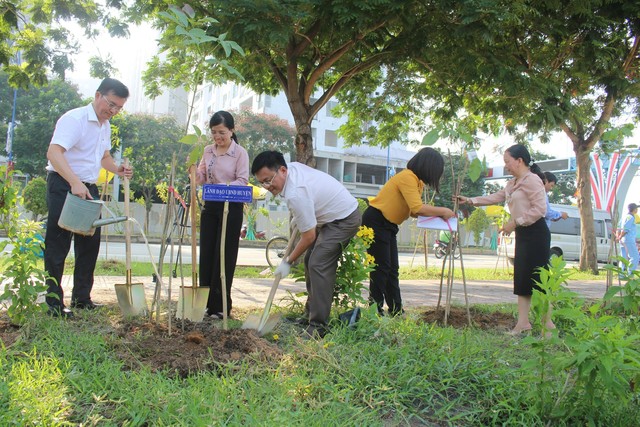 Bình Chánh dự định trồng sen trên đường Nguyễn Văn Linh - Ảnh 3.