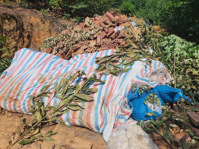 Quảng Ninh: Bắt giữ hơn 6 tấn nội tạng lợn bẩn  - Ảnh 2.
