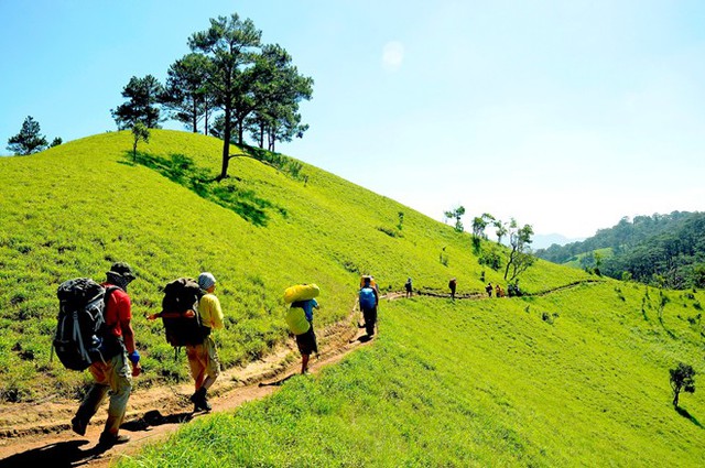 Explore the 5 most beautiful trekking routes in Vietnam - Photo 2.