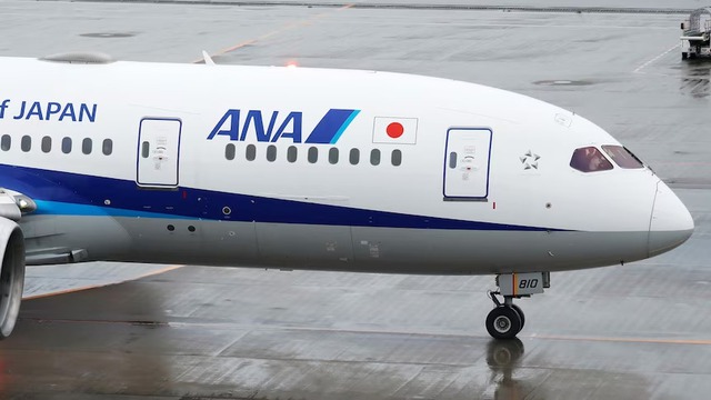 Máy bay Boeing 737-800 quay đầu ở Nhật vì nứt cửa sổ buồng lái - Ảnh 1.