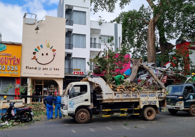 Cây gãy đổ giữa TP.Buôn Ma Thuột đè trúng người đi đường- Ảnh 1.