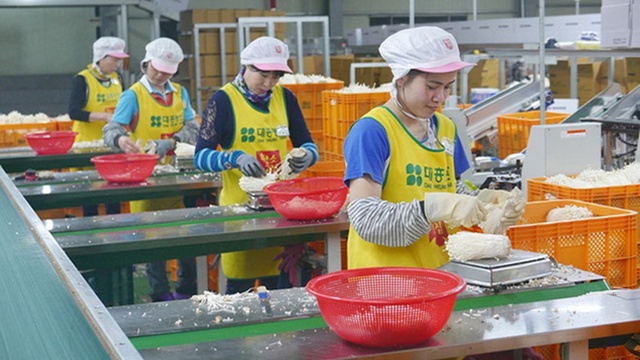 Hàn Quốc tăng lương tối thiểu, mức lương mới của lao động Việt Nam được bao nhiêu?- Ảnh 1.