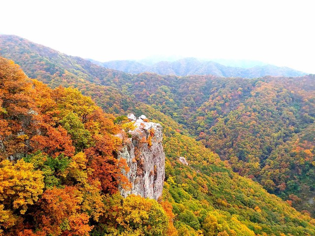 Điểm danh top 5 địa điểm du lịch Gwangju, Hàn Quốc mà bạn không nên bỏ qua- Ảnh 5.