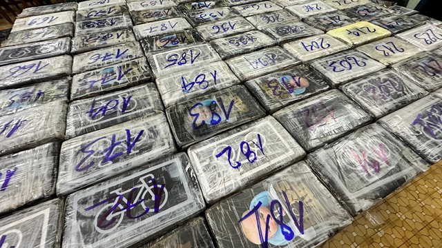 Phát hiện 287 kg nghi ma túy ở Quảng Ngãi: Test nhanh đều dương tính với cocain- Ảnh 2.