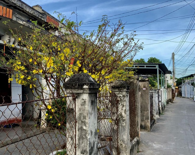 'Mùa xuân đầu tiên': Yêu sao tiếng gà gáy trưa...- Ảnh 1.