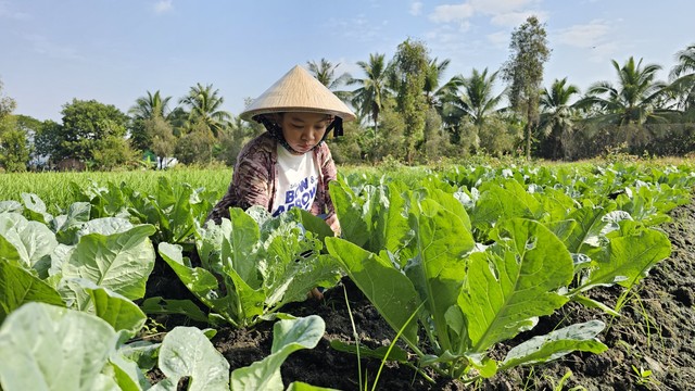 Nữ cử nhân tình nguyện lên đường bảo vệ Tổ quốc- Ảnh 2.