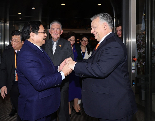Việt Nam sẵn sàng là cửa ngõ để hàng hóa Hungary tiếp cận ASEAN- Ảnh 1.