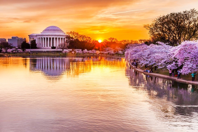 5 điểm tham quan nổi tiếng nhất ở Washington D.C mà bạn không nên bỏ qua- Ảnh 4.