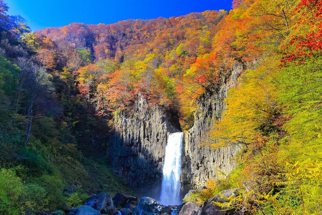 Những địa điểm nhất định phải ghé thăm khi đến tỉnh Niigata, Nhật Bản- Ảnh 4.