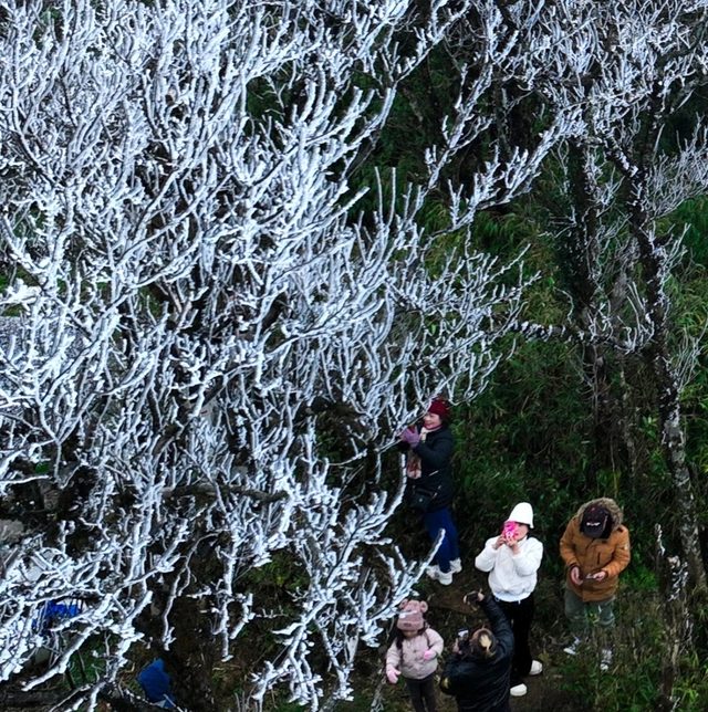 Du khách vượt 250 km, đón sinh nhật ở nơi băng giá phủ trắng- Ảnh 4.