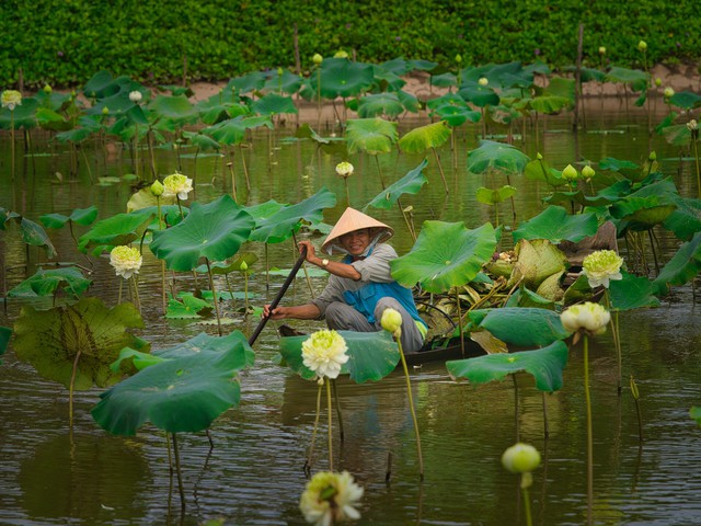 Ngày tết bình yên, ấm cúng ở 3 khu nghỉ dưỡng với chi phí hợp lý- Ảnh 2.