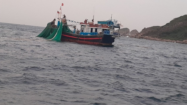 Xâm hại 'trái tim Nha Trang', 2 chủ tàu cá bị phạt 350 triệu đồng- Ảnh 1.