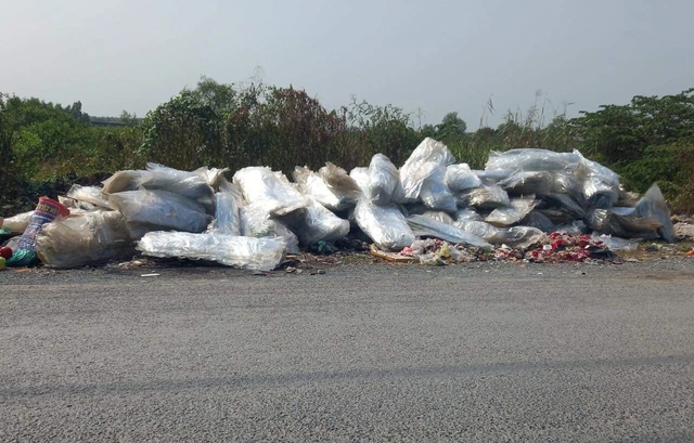 TP.HCM: Công an truy tìm xe tải đổ trộm rác thải trên đường Trần Hải Phụng- Ảnh 2.
