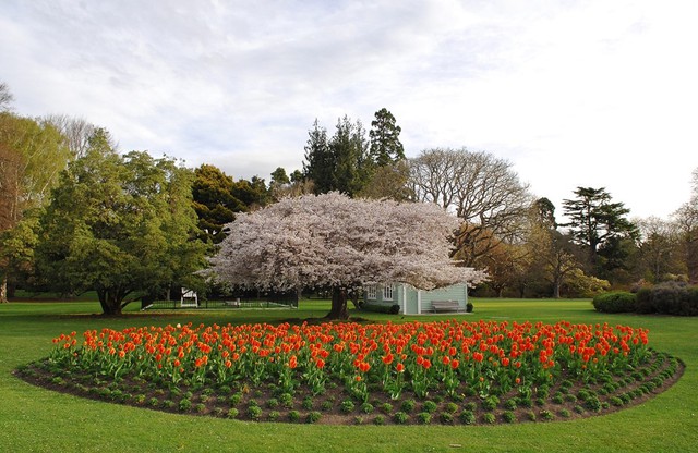 Trải nghiệm thành phố Christchurch và những điều bạn nên biết, New Zealand- Ảnh 3.