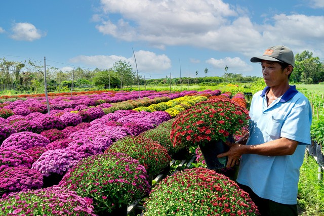 Chợ hoa xuân Bình Điền miễn phí cho cả... tiểu thương- Ảnh 1.