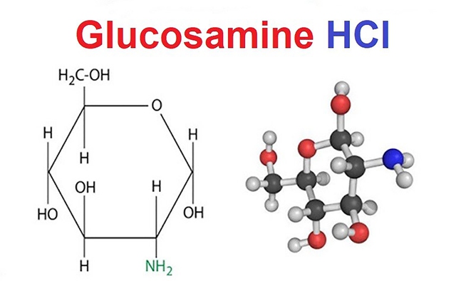 Glucosamine HCl là gì? Vì sao được sử dụng trong các sản phẩm chăm sóc da?- Ảnh 1.