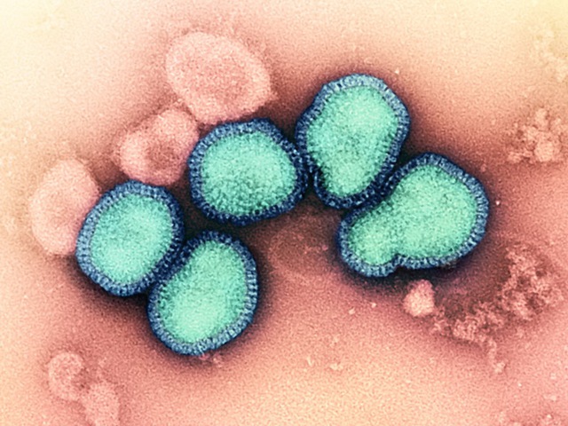 Trung Quốc ghi nhận ca tử vong vì nhiễm H3N2 và H10N5- Ảnh 1.