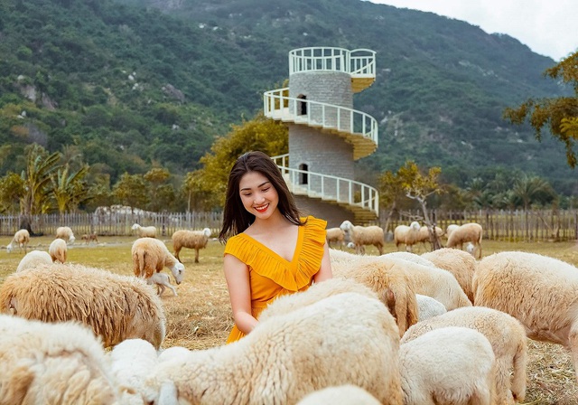 Tới Cam Ranh tắm biển bãi Nồm, thăm chùa Ốc, chơi đảo Rùa, 'check in' với cừu- Ảnh 4.