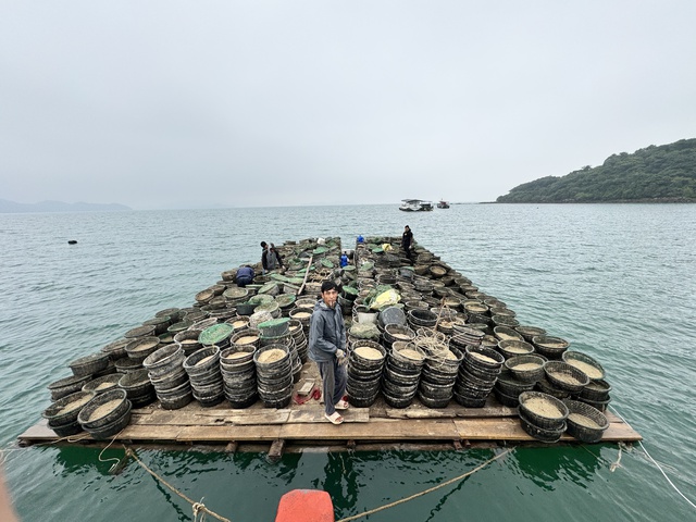 Quảng Ninh: H.Vân Đồn xử lý khu nuôi thủy sản trái phép- Ảnh 6.