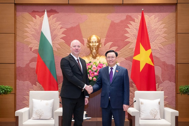 Phát triển mạnh mẽ quan hệ Việt Nam - Bulgaria- Ảnh 1.